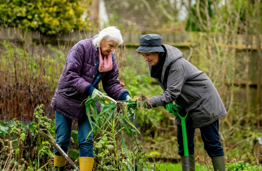 Estudo mostra que jardinagem pode ajudar idosos com risco de demência